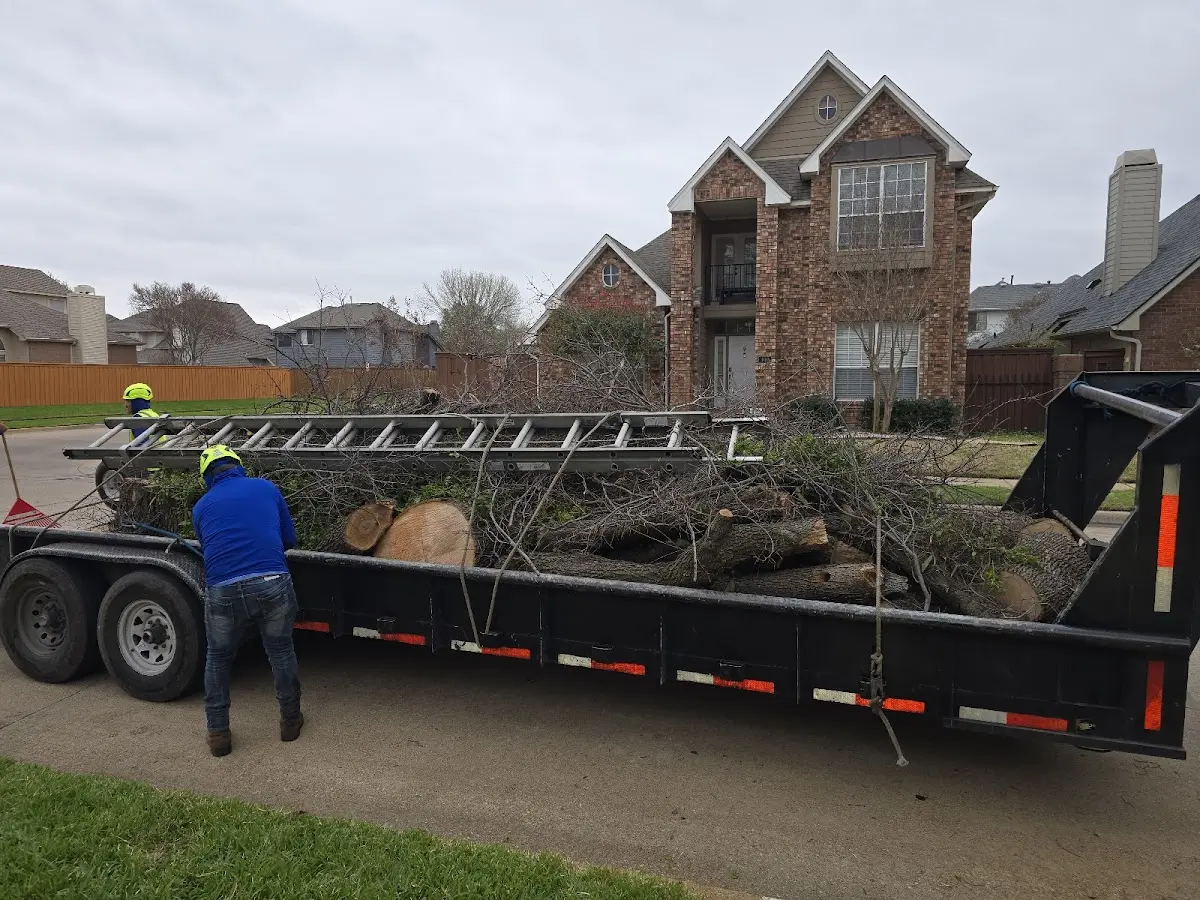 Expert Tree Fertilization with proper safety equipment in Papillion